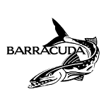 Barracuda